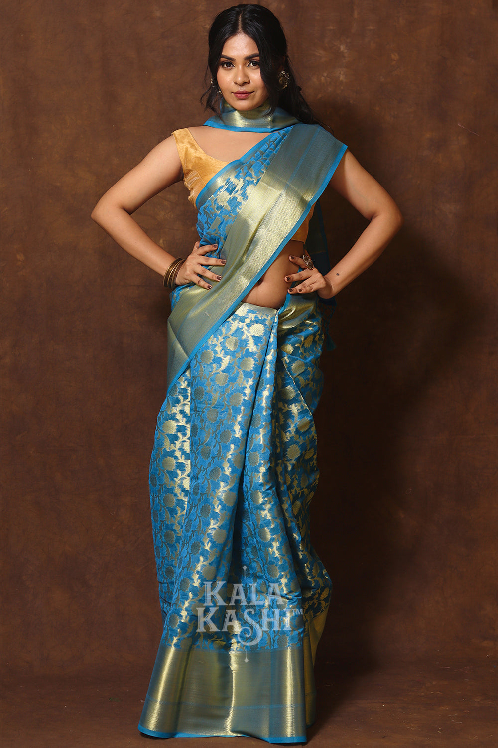 Blue Hand Woven Banarasi Cotton Silk Saree