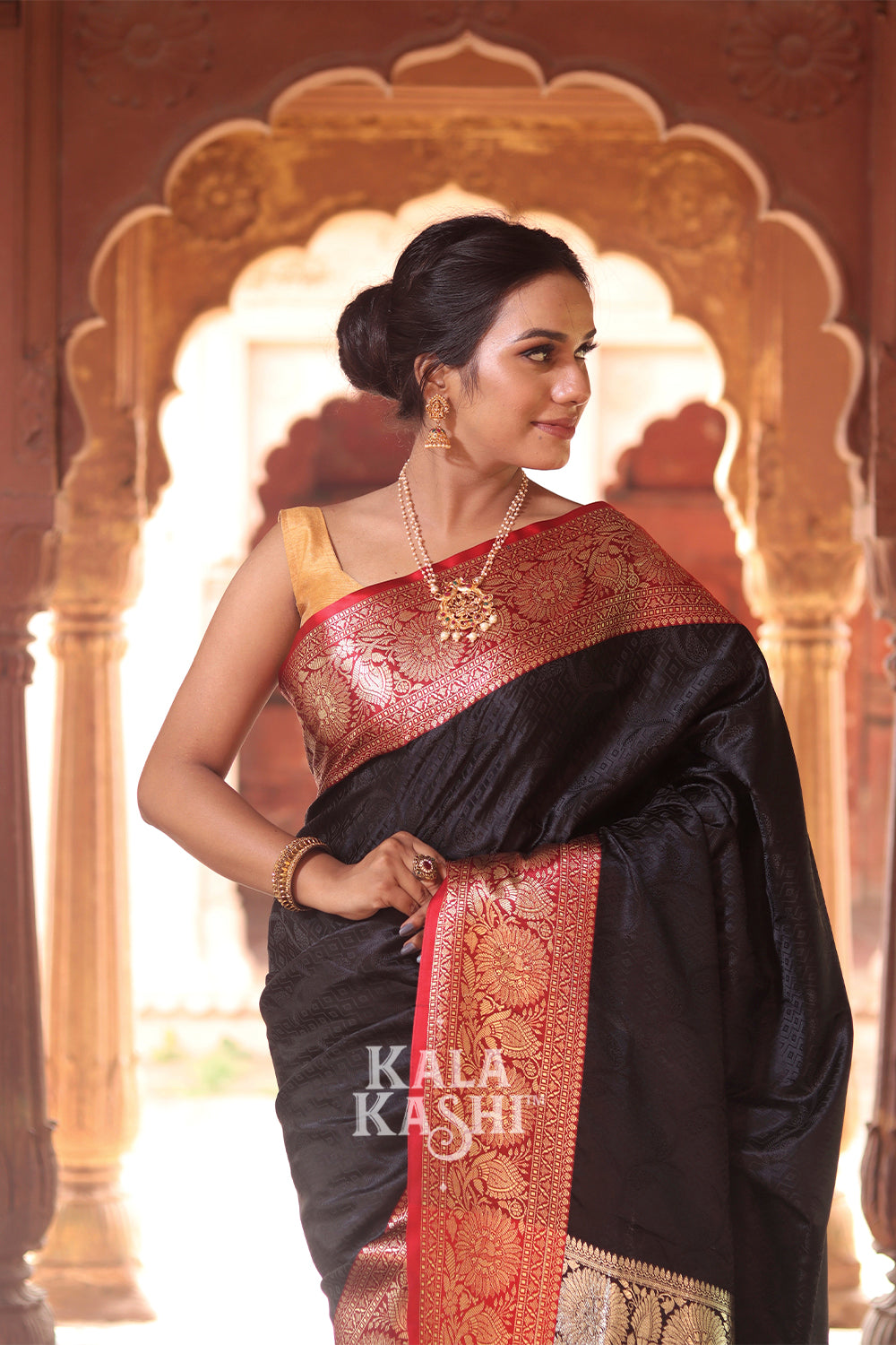 Black Hand Woven Banarasi Silk Saree