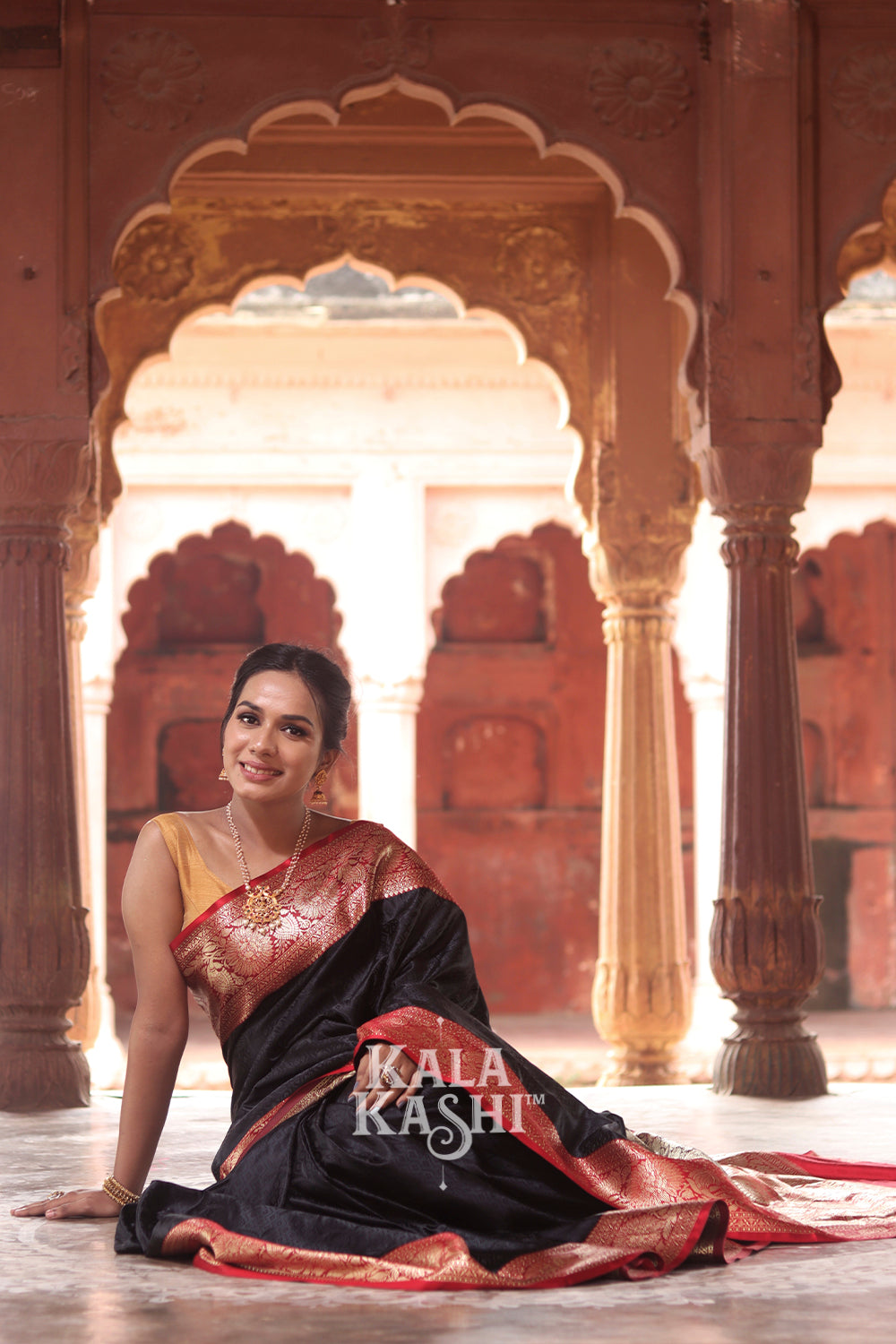 Black Hand Woven Banarasi Silk Saree