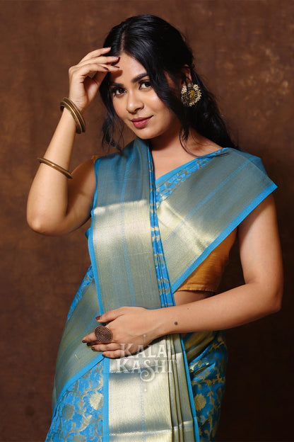 Blue Hand Woven Banarasi Cotton Silk Saree