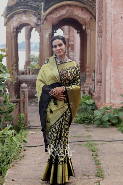 Black Golden Hand Woven Banarasi Cotton Silk Saree