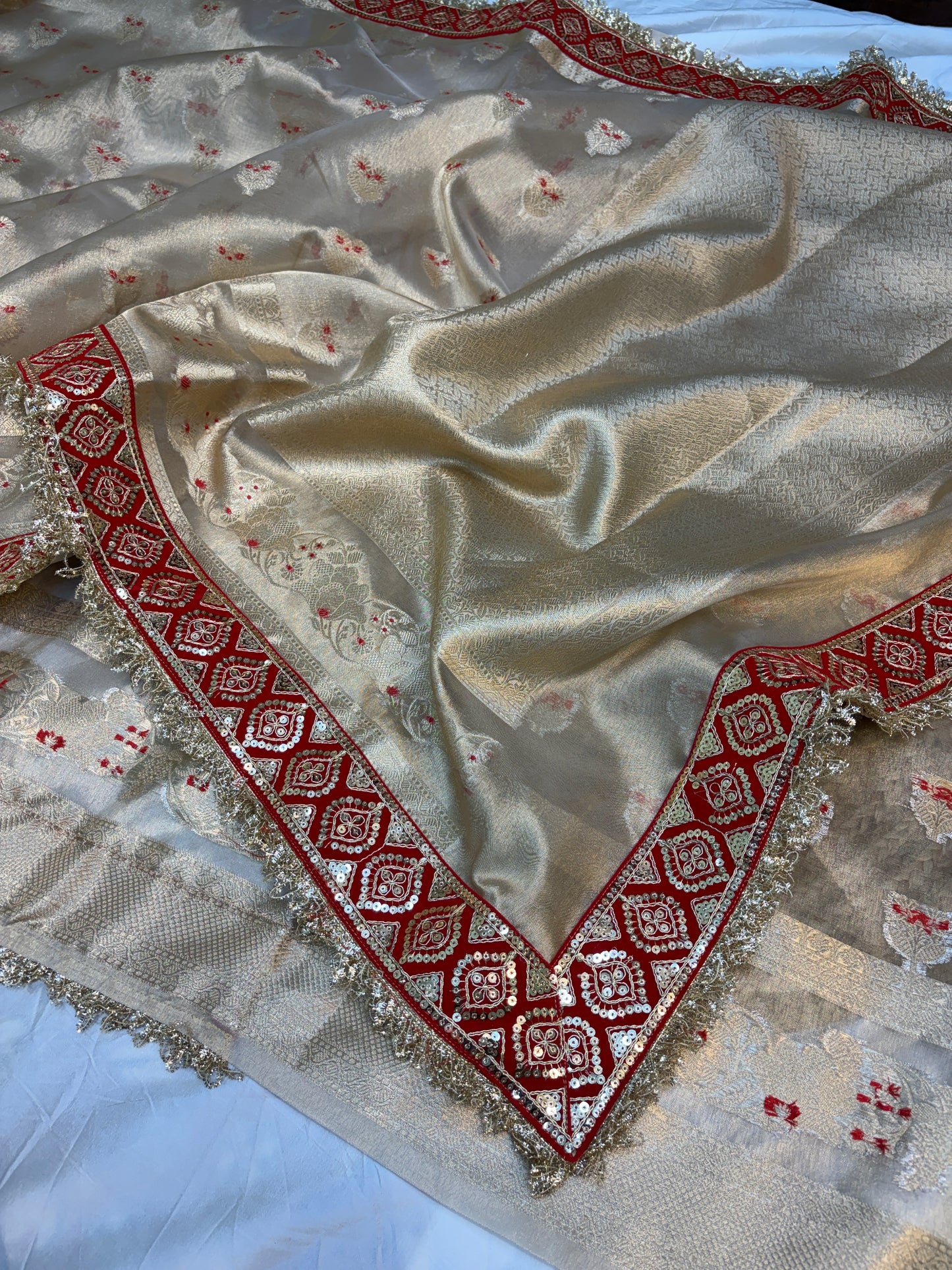 Champagne tissue silk saree with lace work