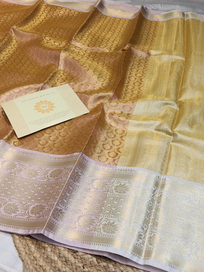 TISSUE SILK CONTRAST BROCADE SAREE