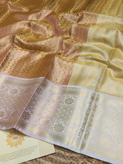 TISSUE SILK CONTRAST BROCADE SAREE