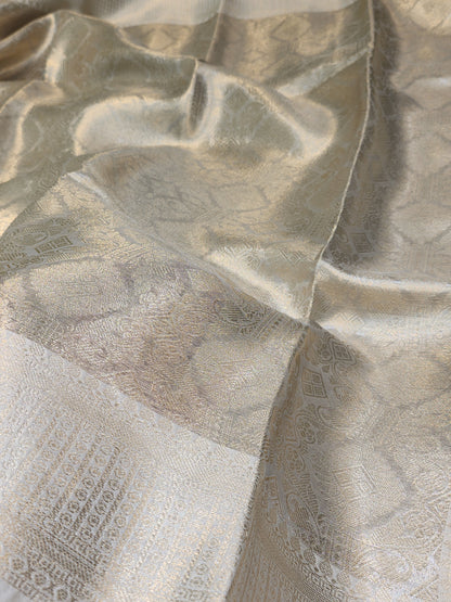 TISSUE SILK SILVER SHINY BROCADE SAREE